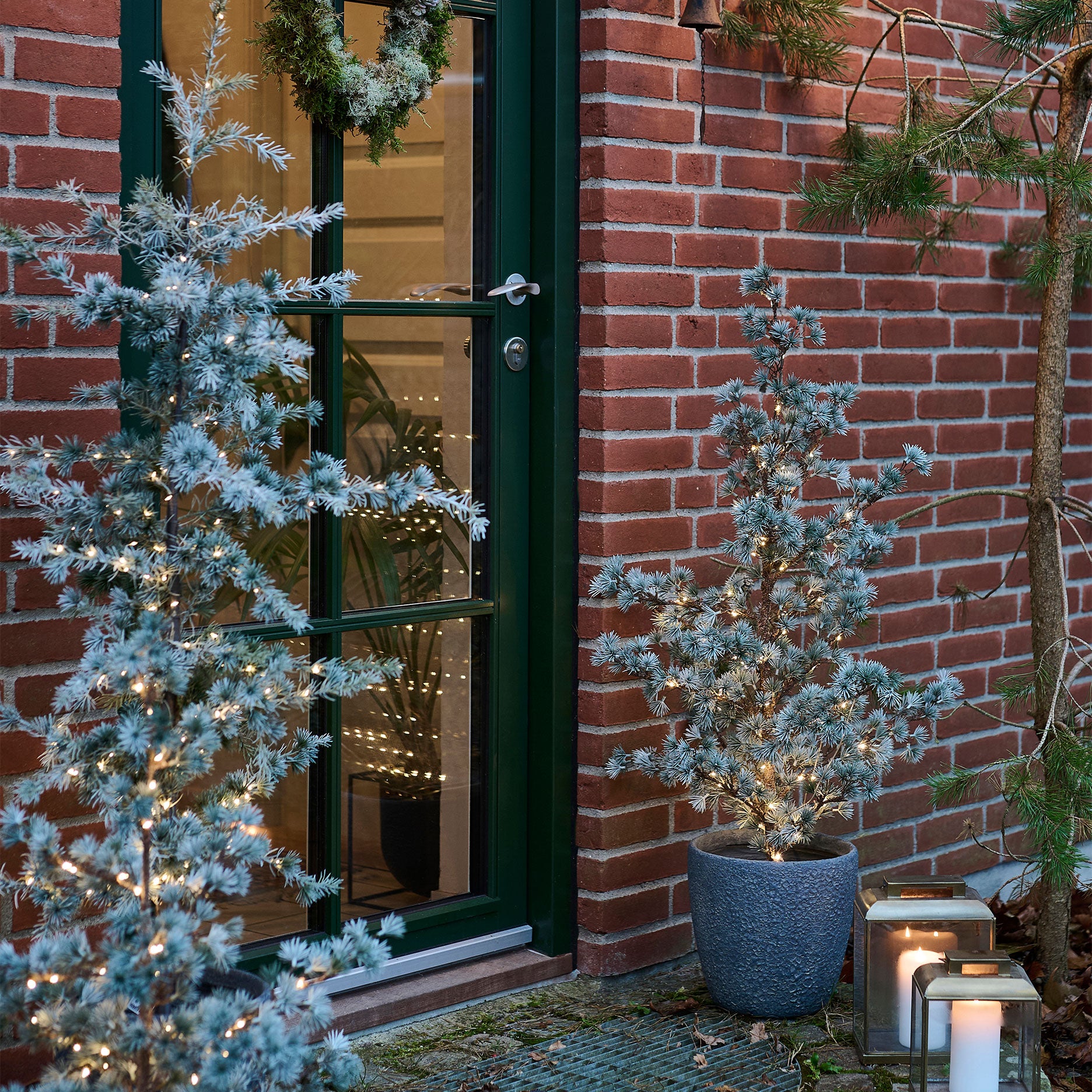 Festive cedertræ m. LED